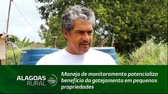 Manejo de monitoramento potencializa benefício do gotejamento em pequenas propriedades